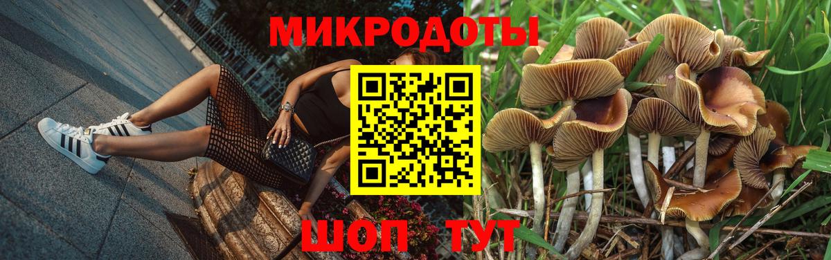 Псилоцибиновые грибы мицелий Павловский Посад